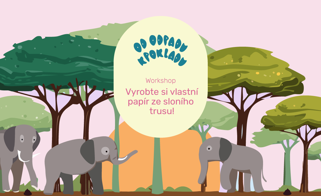 Workshop: Vyrobte si vlastní papír ze sloního trusu!